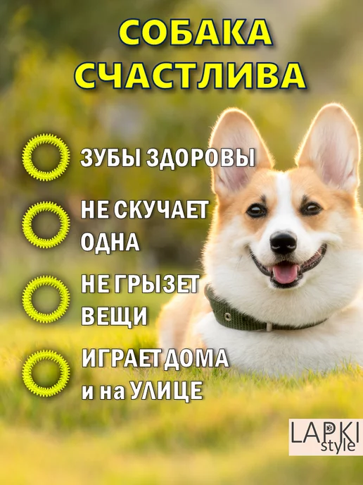 LapkiStyle Кольцо для собак литое, зеленый, фото 2