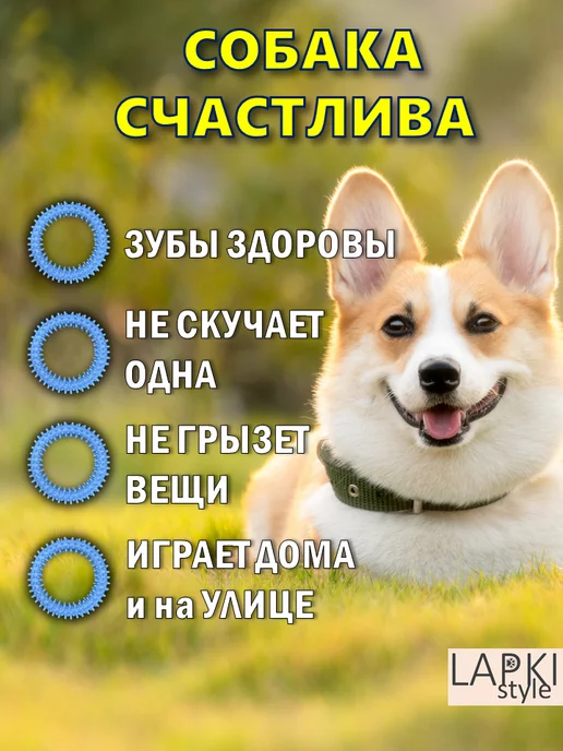 LapkiStyle Кольцо для собак литое, голубой, фото 2