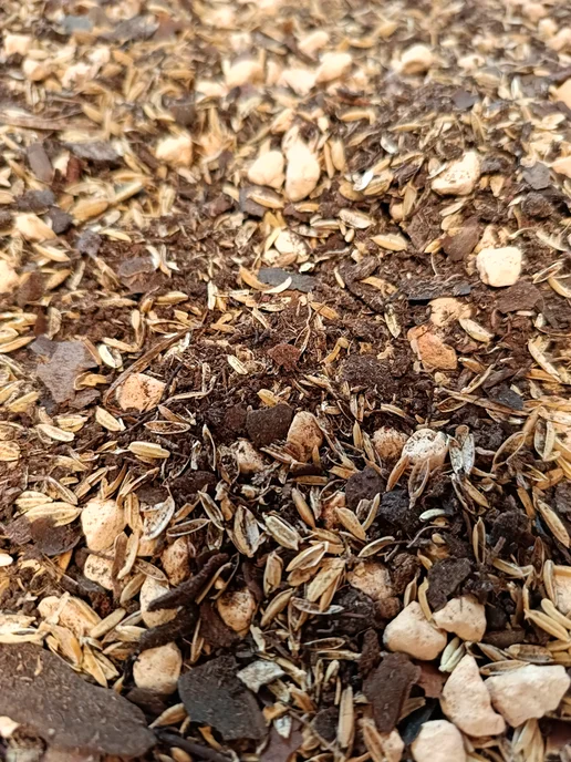 Plantix Готовый универсальный грунт с рисовой шелухой, 2л, 2 л, фото 2