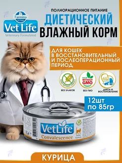 Vet Life CONVALESCENCE влажный корм для кошек 85гр х 12шт FARMINA 224014873 купить за 2 403 ₽ в интернет-магазине Wildberries