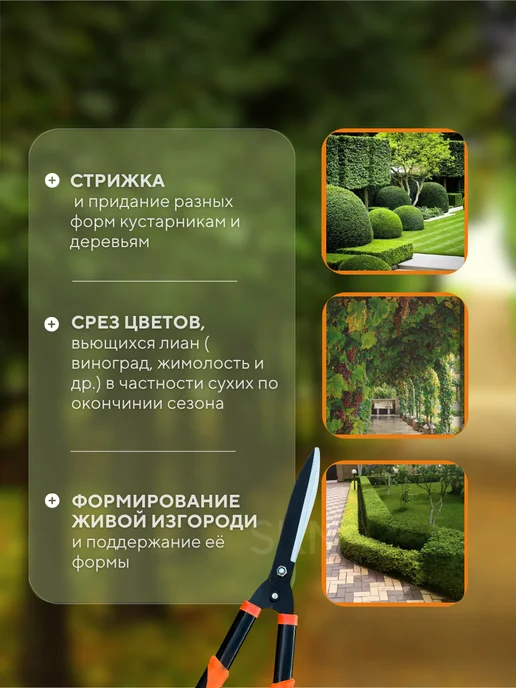 SRN SHOP Ножницы садовые для кустов и веток кусторез, вариант, фото 3