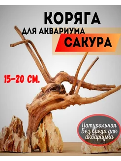 Коряга для аквариума натуральная Сакура