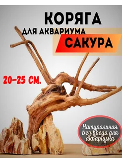 Коряга для аквариума натуральная Сакура 224087780 купить за 539 ₽ в интернет-магазине Wildberries