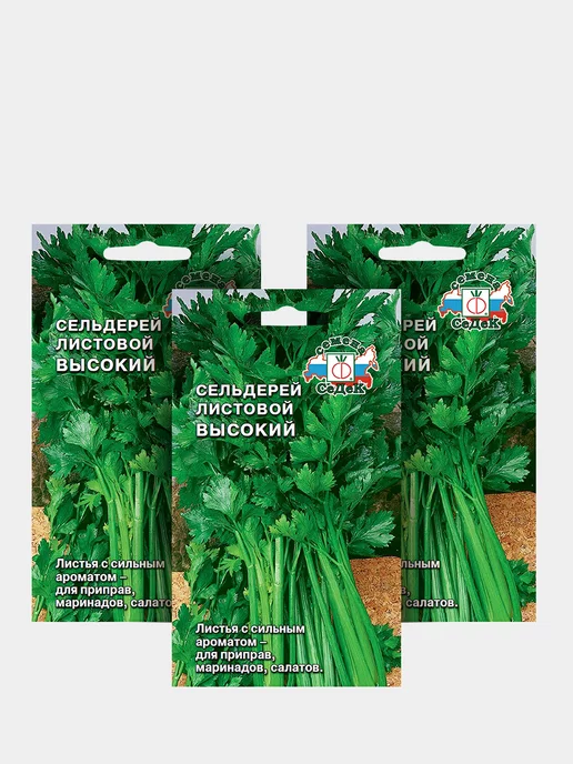 Врач назвала продукты для хорошего секса