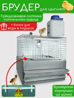 Брудер для цыплят любительский Fermamarket 224144376 купить за 5 537 ₽ в интернет‑магазине Wildberries