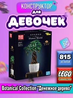 Цветы Botanical Collection "Денежное дерево"