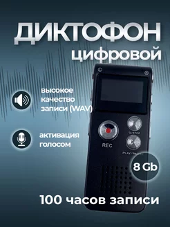 Профессиональный цифровой диктофон CA-D401