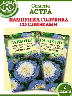 Семена Астра Пампушка Голубика со Сливками-2 пакета Гавриш 224281584 купить за 141 ₽ в интернет-магазине Wildberries