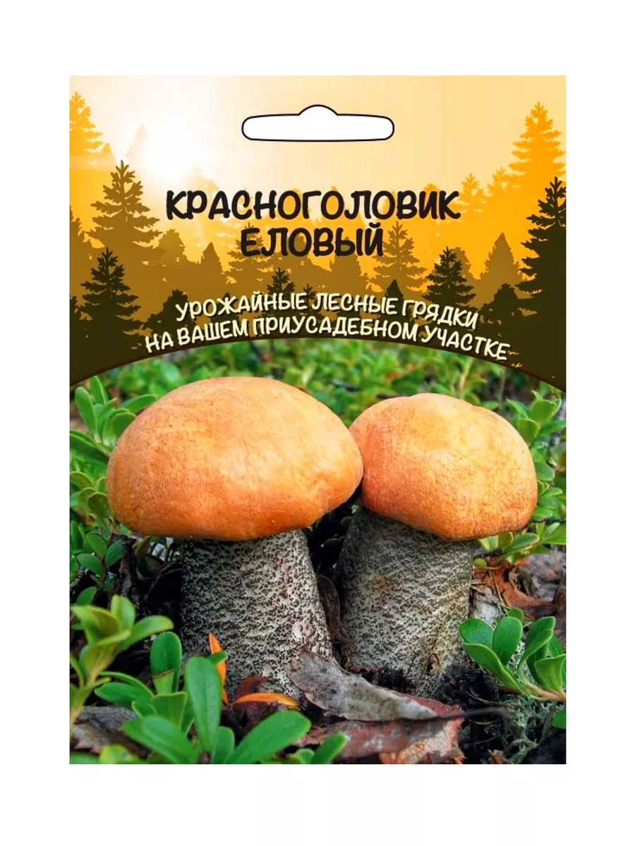 Гриб Красноголовик Еловый, зерновой мицелий, 1 пакет