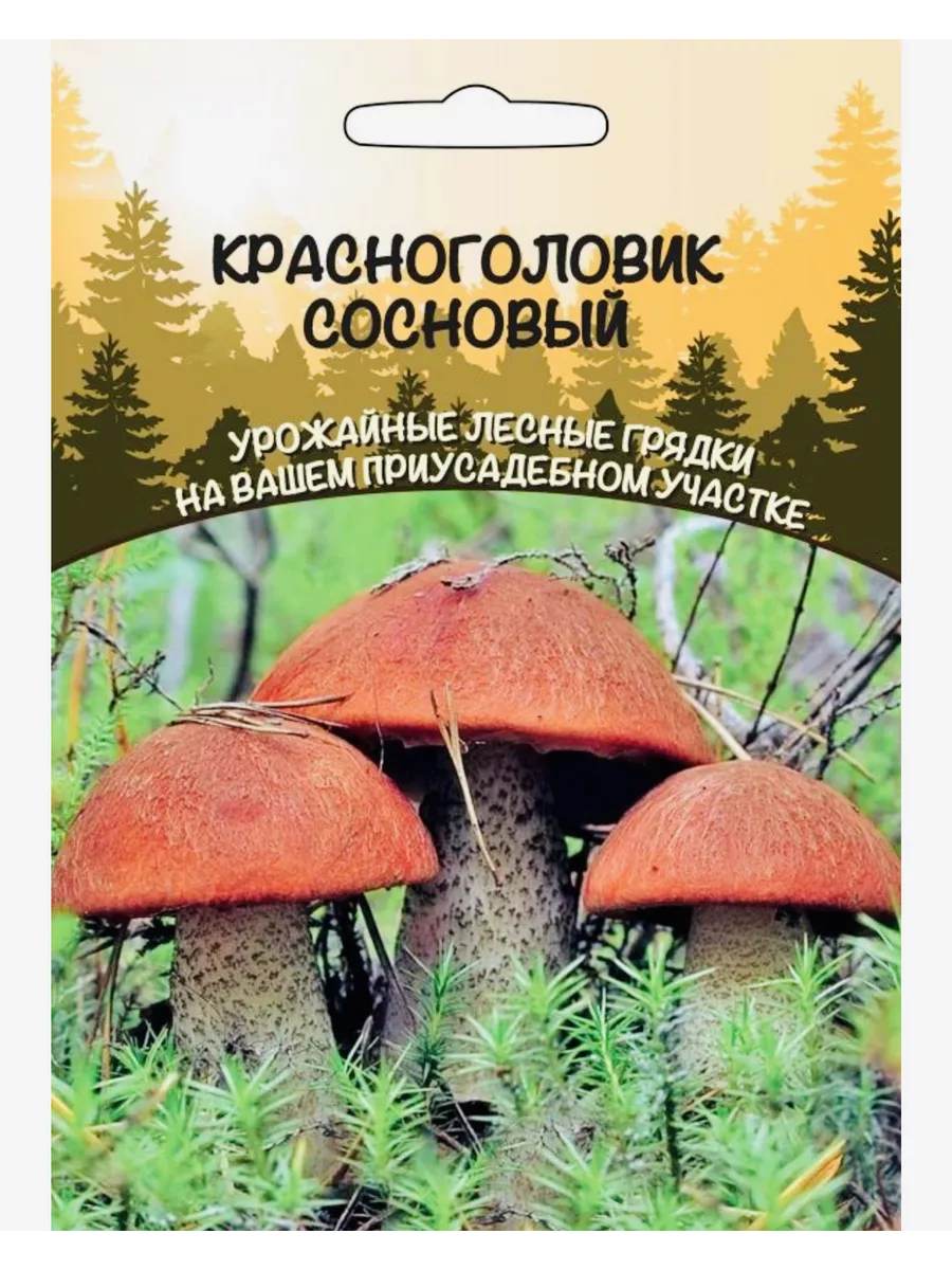 Гриб Красноголовик Сосновый, зерновой мицелий, 1 пакет