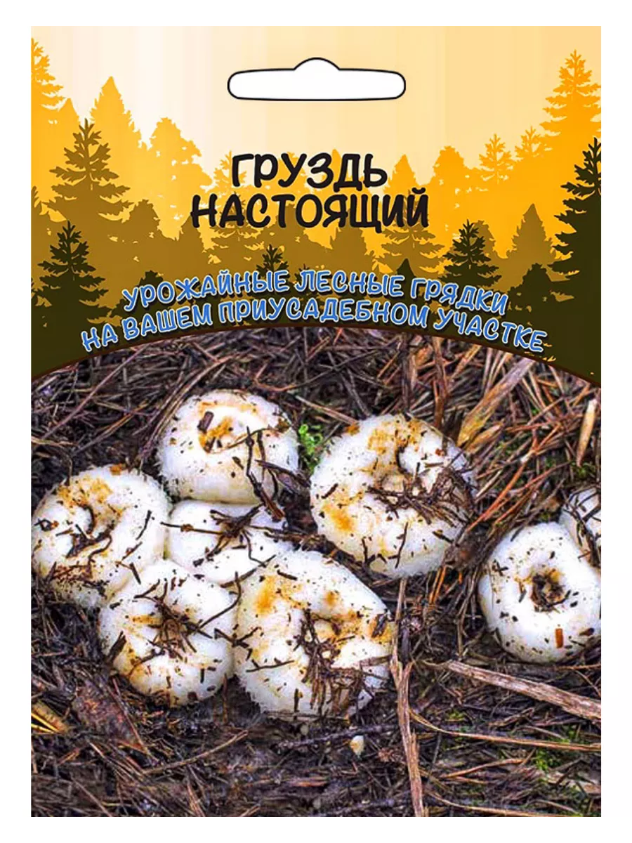 Гриб Груздь настоящий, зерновой мицелий, 1 пакет