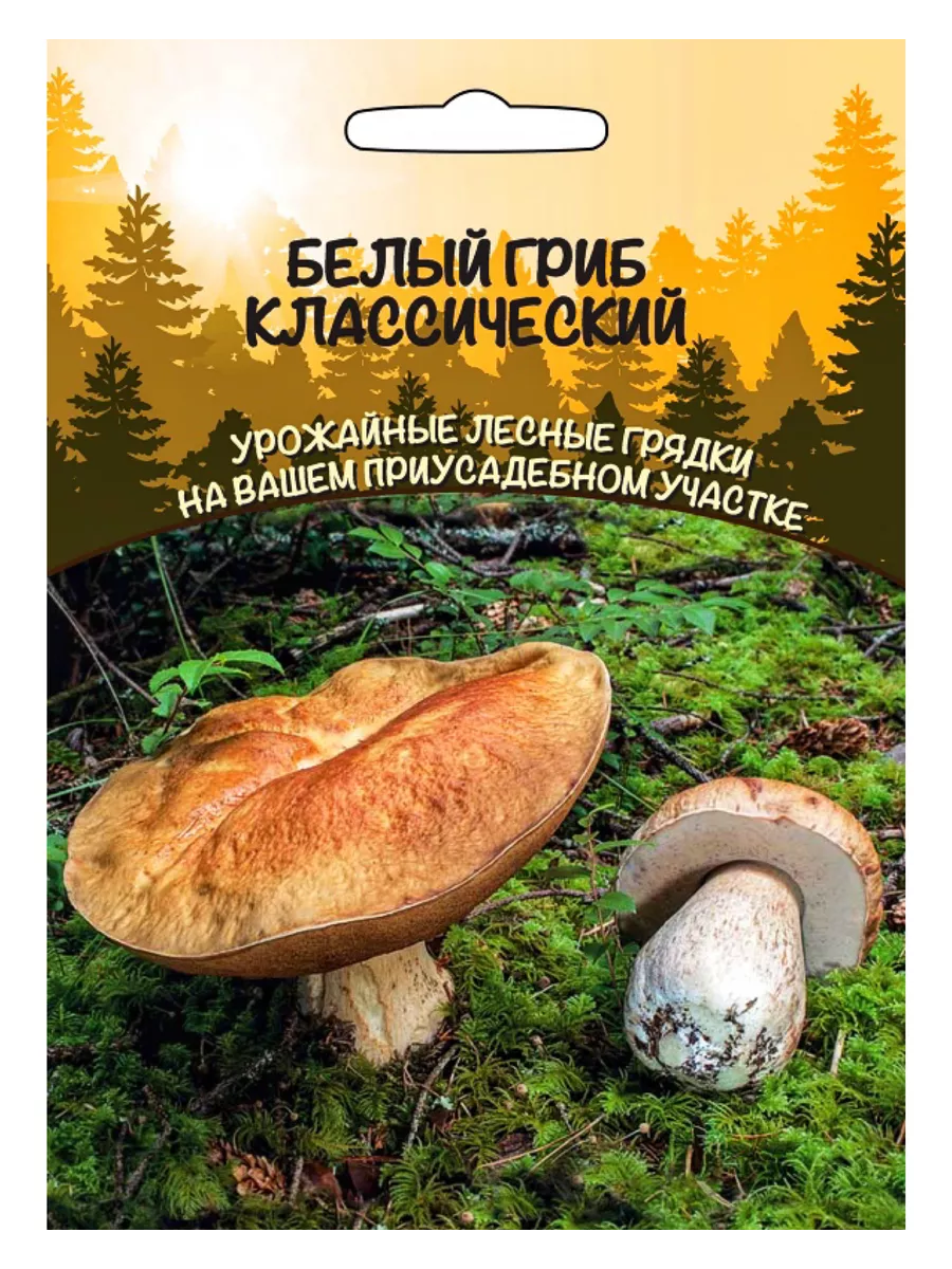 Белый Гриб Классический, зерновой мицелий, 1 пакет