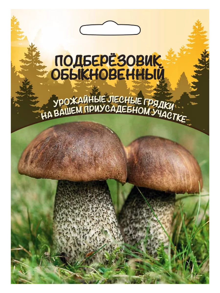Гриб Подберезовик Обыкновенный, зерновой мицелий, 1 пакет