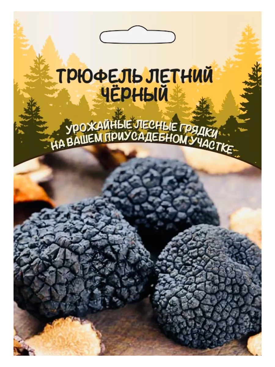 Гриб Трюфель Летний Черный, зерновой мицелий, 1 пакет