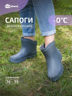 Резиновые сапоги без утеплителя EVASHOES 224305000 купить за 747 ₽ в интернет-магазине Wildberries