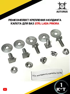 Ремкомплект крепления молдинга капота ваз AutoRus63 224323201 купить за 232 ₽ в интернет-магазине Wildberries