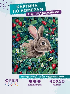 Картина по номерам "Заяц на поляне" Фрея 224347679 купить за 1 092 ₽ в интернет-магазине Wildberries