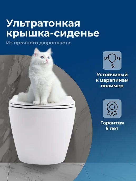 Aquanet Чаша унитаза Акванет Rimless Cetus W Short LX-1900, вариант, фото 4