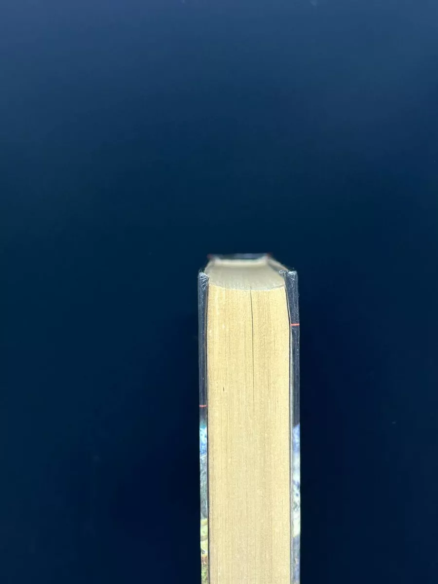 Фото 4