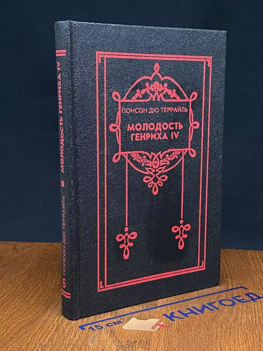 Молодость Генриха 4. Том 6