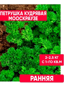 Семена Петрушка кудрявая Мооскраузе 2