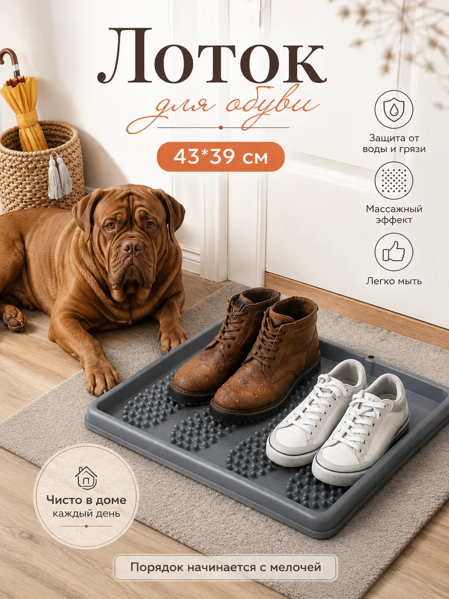 Лоток для обуви, обувница 43*39 см