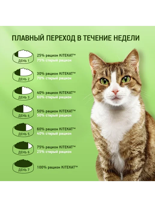 Сухой корм Kitekat Аппетитная Кошек для собак, телятина, 0,35 кг, фото 5