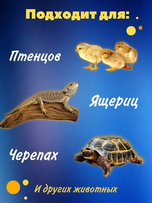 Heating reptile Галогенная лампа для террариума 25Вт для рептилий E27, 25 Вт, фото 2