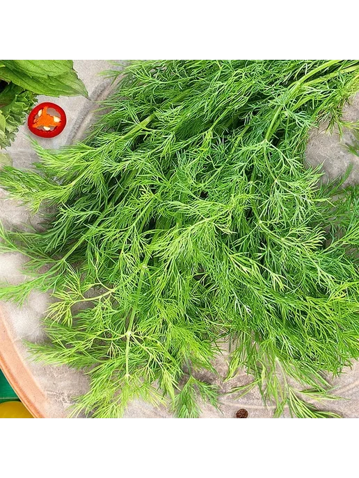 Русский огород Семена Укроп Реванш, 3 х 1.5г (Набор 3 пачки), 3x1.5, 1,5 г, фото 3