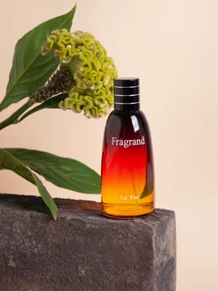 Туалетная вода "Fragrand" 100 мл DILIS 224585870 купить за 1 349 ₽ в интернет-магазине Wildberries