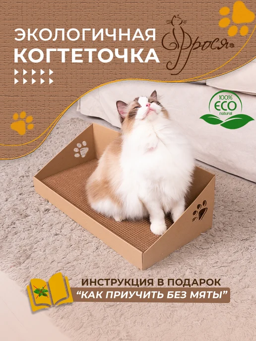 когтеточка
