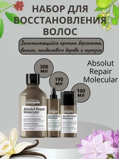 Набор для восстановления волос Absolut Repair Molecular L