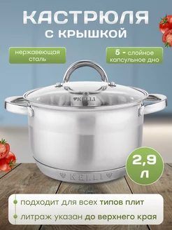 Кастрюля из нержавеющей стали с толстым дном с крышкой Kelli 224680163 купить за 1 021 ₽ в интернет-магазине Wildberries