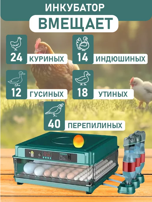 WQ Инкубатор автоматический с переворотом на 24 яйца, вариант, фото 2