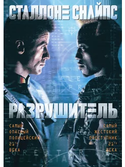 Разрушитель (региональное издание) (DVD)