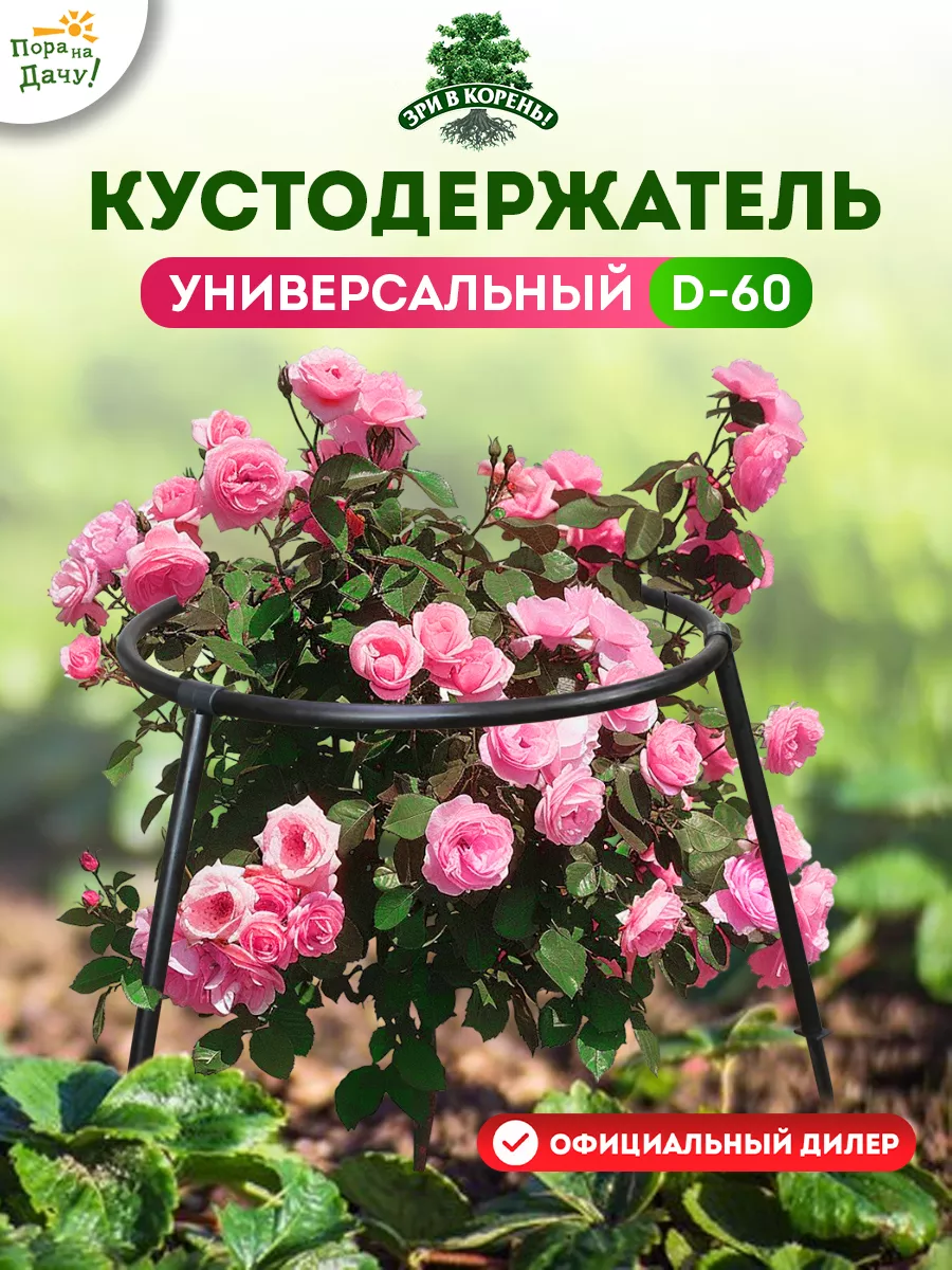 Кустодержатель...