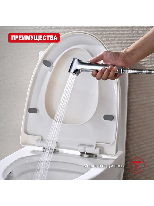 RAGLO Гигиеническая лейка R460.05 хром, серый, фото 6