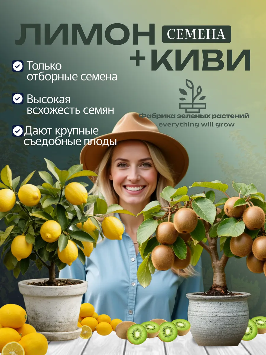 Домашний лимон + Киви семена