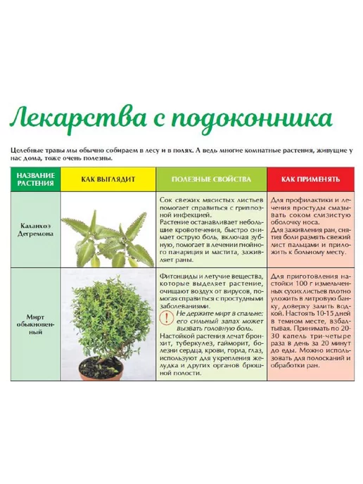 Народный доктор журнал о здоровье. лекарство от аллергии, №8 24, вариант, фото 5