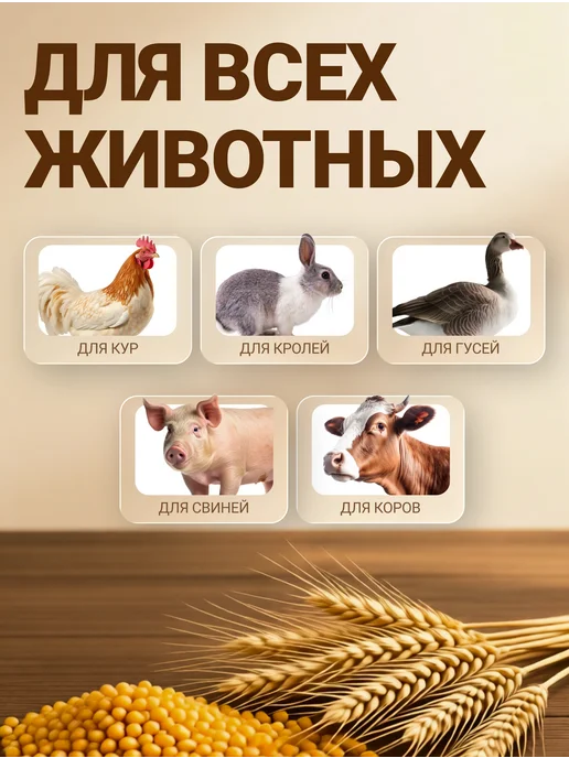 Фермер Зернодробилка электрическая для зерна кормоизмельчитель, 410 кг, фото 3