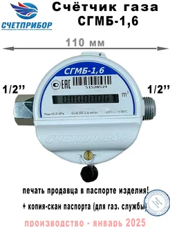 Счетчик газа СГМБ-1,6, струйный, G1,6