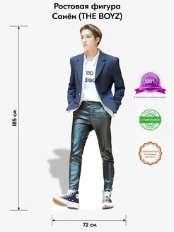 (THE BOYZ) Санён ростовая фигура Indoor-ad 225096155 купить за 2 805 ₽ в интернет-магазине Wildberries