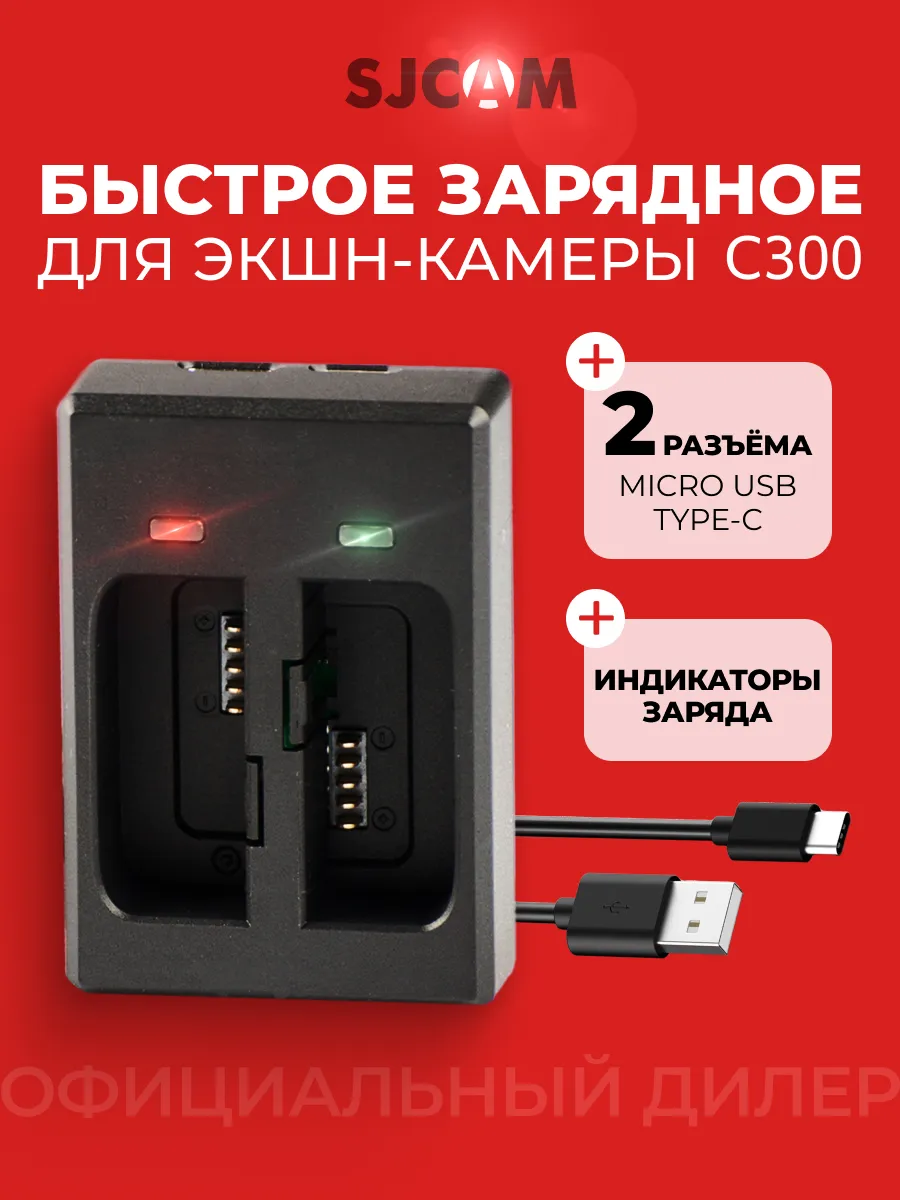 Зарядное устройство для двух аккумуляторов C300