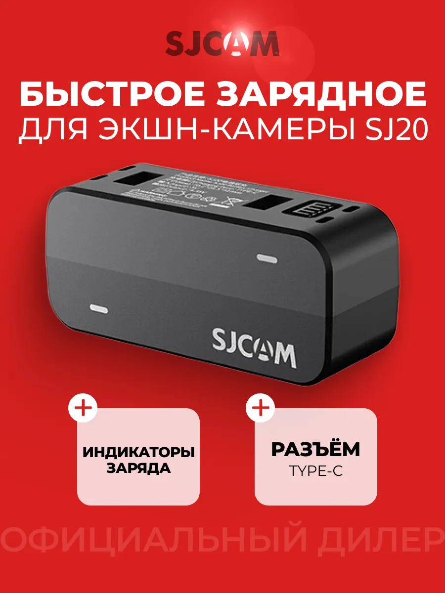 Зарядное устройство для двух аккумуляторов SJ20