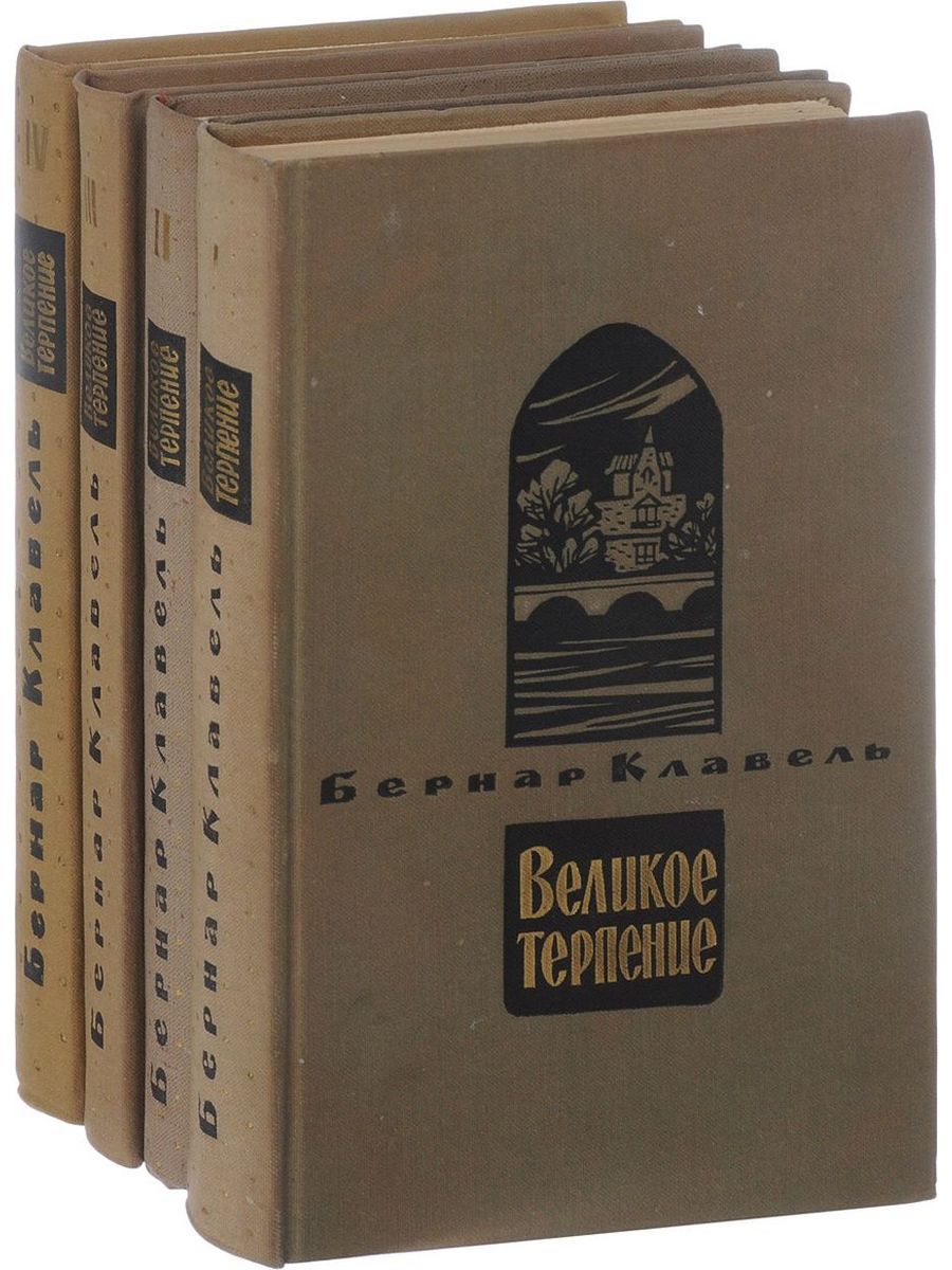 Книга терпения. Что такое Букинистика на Озоне. Книга Гонец из Пизы. Заготовки Букинистика.