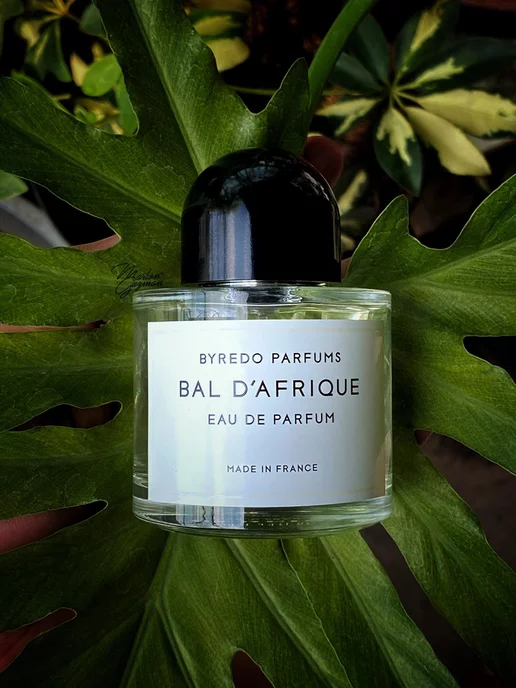 Порно әке мен оның достары қызын көндірді