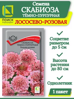 Семена цветов СКАБИОЗА тёмно-пурпурная ЛОСОСЕВО-РОЗОВАЯ ПОИСК 225305987 купить за 87 ₽ в интернет-магазине Wildberries