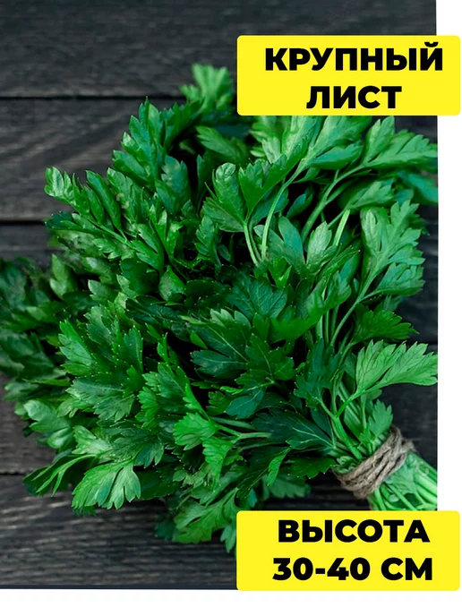 ГАВРИШ Семена петрушки под зиму, вариант, фото 4