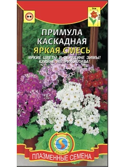 Примула каскадная яркая смесь Стильные цветы 225420222 купить за 142 ₽ в интернет-магазине Wildberries