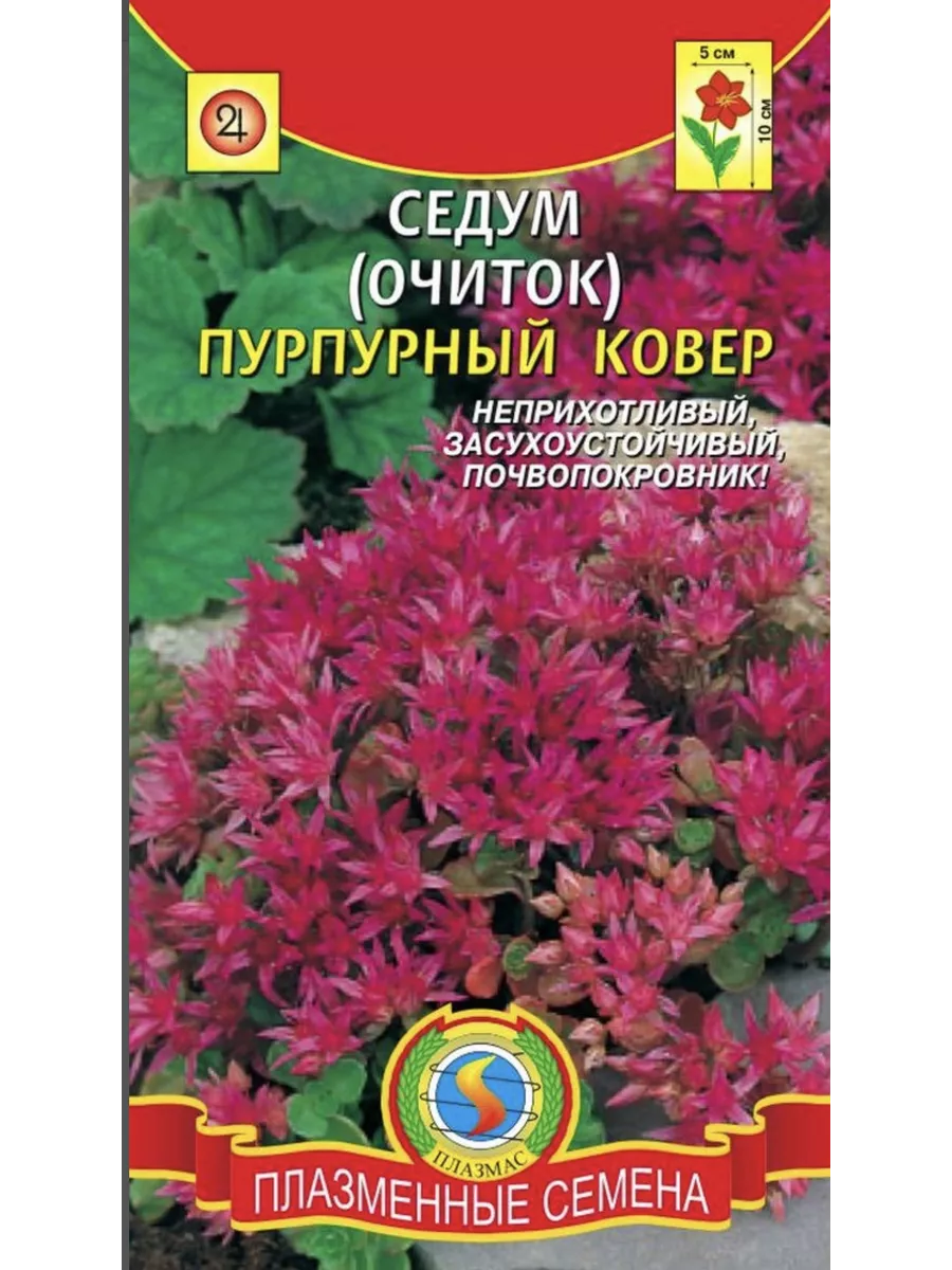 Седум (Очиток) Пурпурный...
